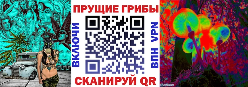 Псилоцибиновые грибы Psilocybe  hydra как войти  Барнаул  закладка 